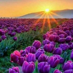 Meet your Posher, Sonia